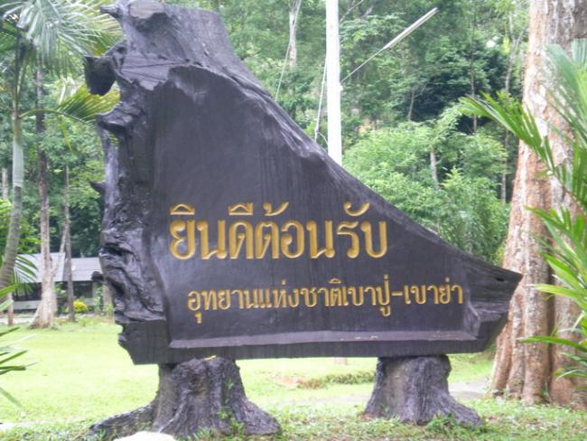 SANY7468.jpg